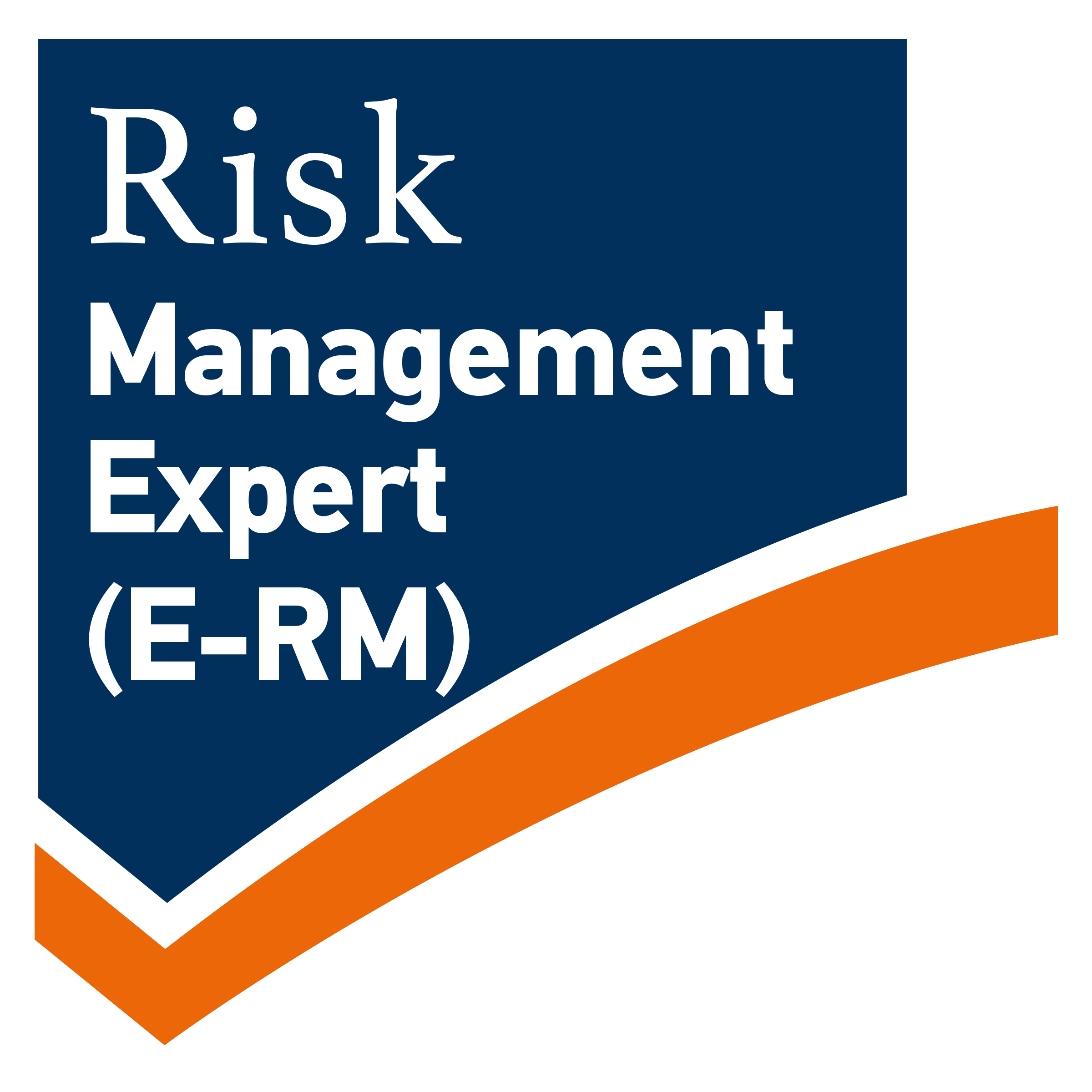 risk-management-expert-e-rm.png